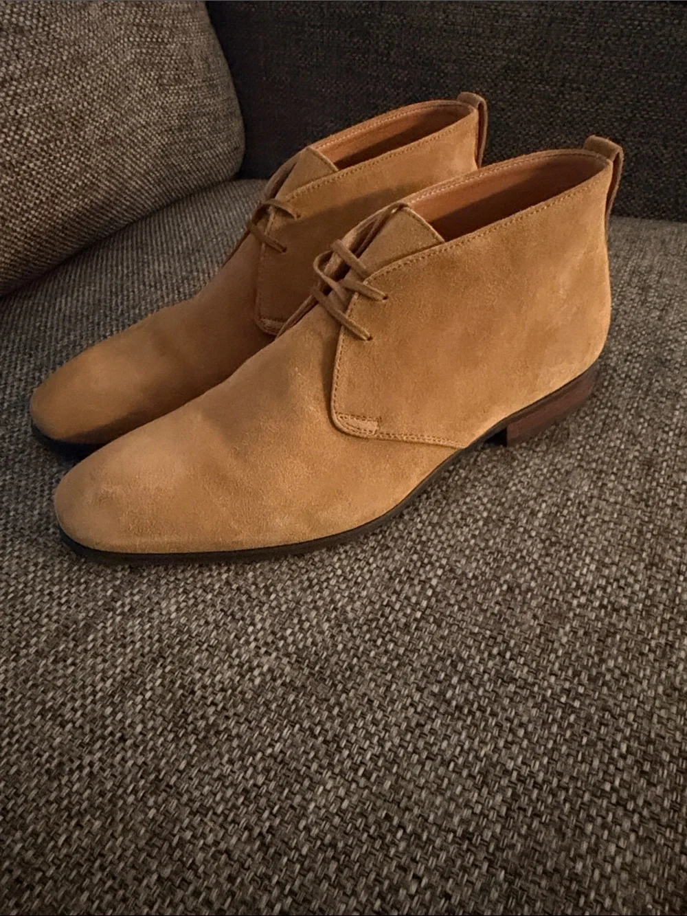 Express suede chukka